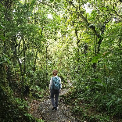 RA at Cayo Santiago
Former Co-Camp Manager at Capuchins de Taboga
BA in Human Ecology
Endocrinology, Animal Behavior and Anthropology
She/her