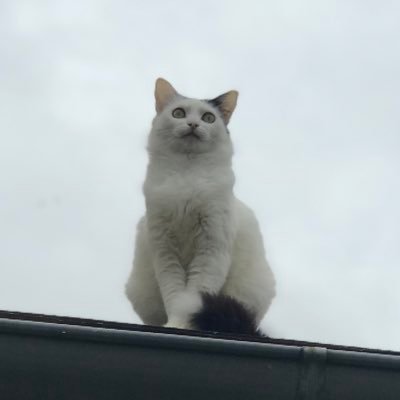 OudotMarchand's profile picture. 