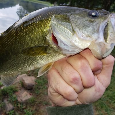 With a great passion for the outdoors, fishing, and hunting. Also, as a person with MS (multiple sclerosis) . I'm out fishing trying to raise awareness for MS