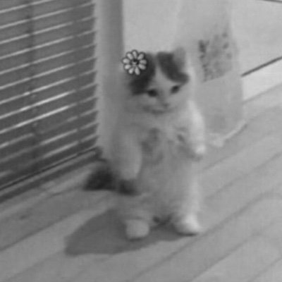 therealHilt0n's profile picture. 