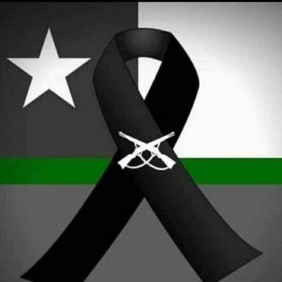 agostino_perez's profile picture. Los facistas del futuro se llamaran así mismos Antifacistas.. RECHAZO