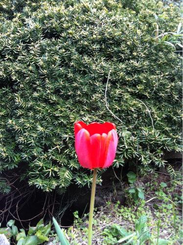 介護福祉士‼️
