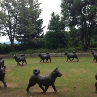 秋田犬が好きで保存会東京都支部に入っていますが、まだ飼えていません。