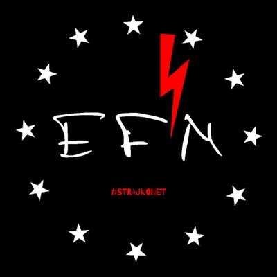 EfmPoland's profile picture. Europejskie Forum Młodzieży (EFM) is an independent, non-governmental organization active since 1995 at  local, regional, national and international levels.