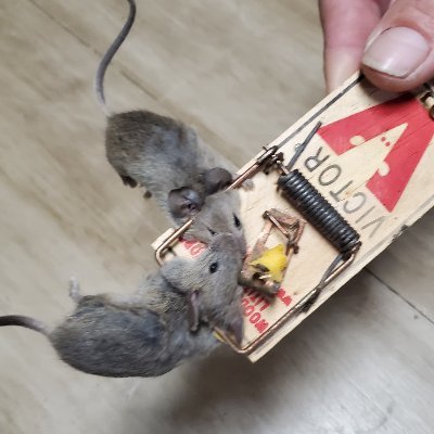 Withoutacrysta1's profile picture. New YouTube coming soon! Follow us! Email me at thinkitoutofficial@gmail.com