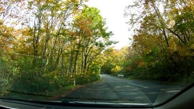 cdryh857's profile picture. 紆余曲折実家に帰ってきたー！