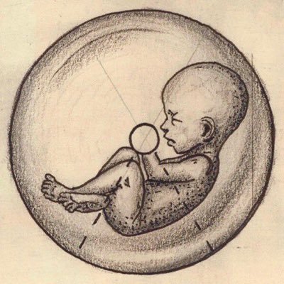 cacciato's profile picture. Just a wino with a dachshund.