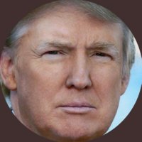 Donald J. Trump Sr. - @allan_grillo Twitter Profile Photo