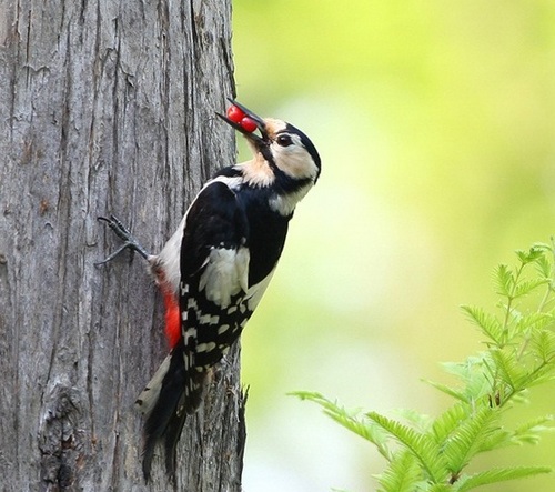 wjswls629's profile picture. 