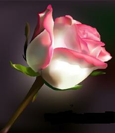 My facebook id/pmkumars90@gmail.com/