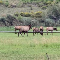 Alex Janssen (@alexjanssen15) 's Twitter Profile Photo