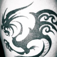 tribal dragon(@_tribal_dragon_) 's Twitter Profileg