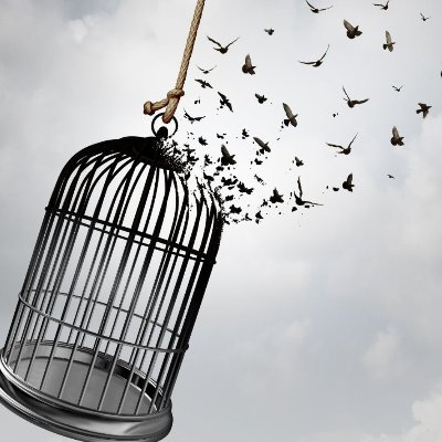 sirope27's profile picture. 🎵🎶el que no arriesga nada no va al infierno ni va a los altares🎶🎵