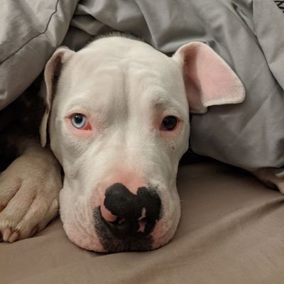 Day02Remember's profile picture. Shelf specialist smart food
gamer
learner