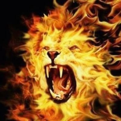 nake666clemanza's profile picture. 🔥🔥🔥 Feuerkraft 🔥🔥🔥