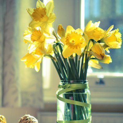 Kasun03985248's profile picture. https://t.co/DfTnY8LAlE