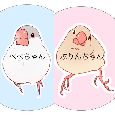 ★シルバー(ぺぺ♀)推定お誕生日19年12月3日★シナモン(ぷりん♂)推定お誕生日20年9月3日★桜文鳥(ピノ)白文鳥(ベル)推定お誕生日24年1月15日★コザクラバイド(とわ)推定お誕生日24年1月15日★コザクラインコ(ぽん)推定お誕生日6月6日・23年11月8日🌈