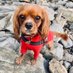 💝 Ruby-Mae 💝 (@rubymae19538424) Twitter profile photo 💝 Ruby-Mae 💝 (@rubymae19538424) Twitter profile photo
