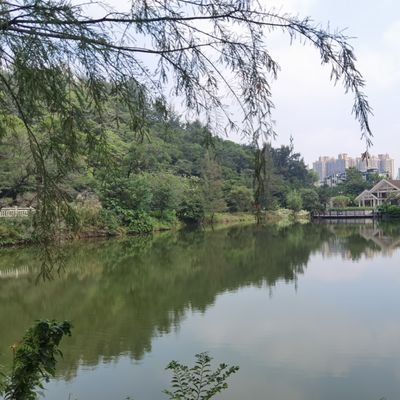 mark900228's profile picture. 