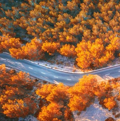 lemontwist_02's profile picture. 