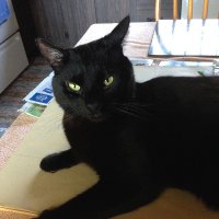 Lulu (@lulu48005877) 's Twitter Profile