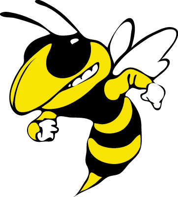 Brainerd Bees