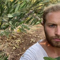 Alexandre AB (@alexandreab14) 's Twitter Profile Photo