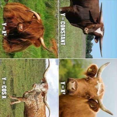 Jamit_fromDhaka's profile picture. 