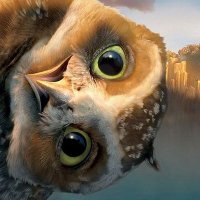 Peter Lehner (@70pitsch) Twitter profile photo