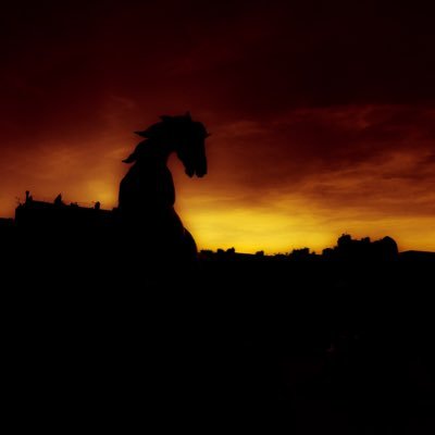 KacperWaligora's profile picture. 