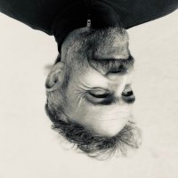 Ben Mullen (@nebjob) 's Twitter Profile Photo Ben Mullen (@nebjob) 's Twitter Profile Photo