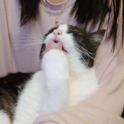limakuma's profile picture. _(:3 」∠)_