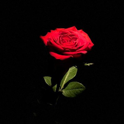 onyx3d's profile picture. 