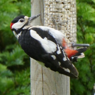 Natur(wissenschafts)- und Literaturfreundin; #wirsindmehr;