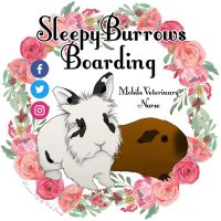 SleepyBurrowBoarding(@sleepy_burrows) 's Twitter Profile Photo