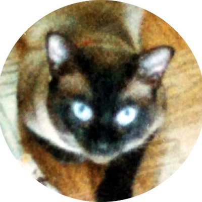 ycd38622's profile picture. ステージⅣ癌患者です。
背骨に癌が転移し脊髄を損傷、下半身不随となり車椅子生活を送る(身障者１級)。21年11月末に背骨腫瘍の手術、翌月からホルモン療法を、22年6月からは抗癌剤治療開始。自宅は非バリアフリーのため、とある施設に入居し、自室の窓からの流星撮影を生きがいに日々過ごしていました。既に緩和ケアに移行しました。