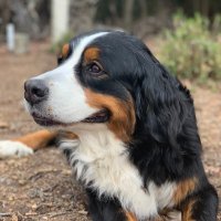 banikoro_channel (@banikoro_c) Twitter profile photo