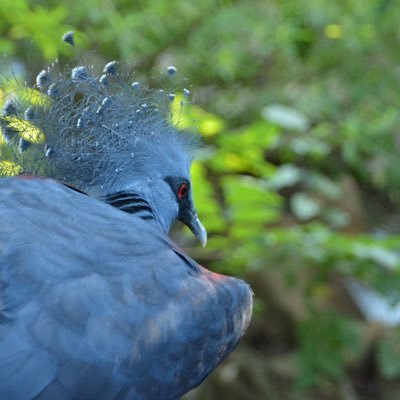 mpENM6's profile picture. 