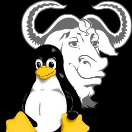 Godless ape running free software (GNU/Linux, *BSD & Openindiana). Enjoy reading quantum physics. Atheist.