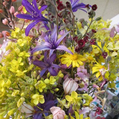 Abbassoltanii's profile picture. think to details