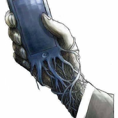 CidaSoroor's profile picture. 