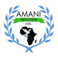 Amani-Institute ASBL(@institute_amani) 's Twitter Profile Photo