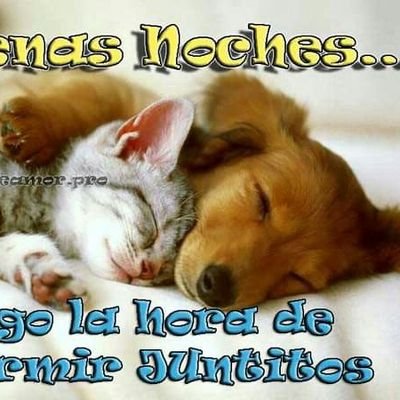 Erik51458238's profile picture. video juegos y pokemones