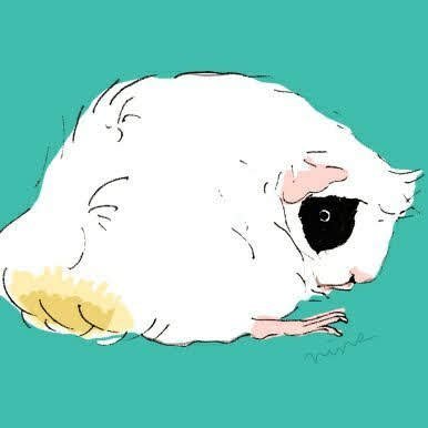 にんず(もや🌈・みけ🌈・める🌈・まぐ🌈・むく🌈・モイラ・ミモラ・ムム)さんのプロフィール画像
