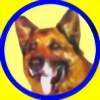 わたるふじ (@9wataru) 's Twitter Profile