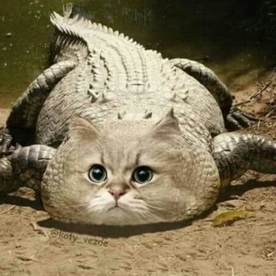Mrkm66002296's profile picture. 