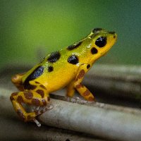 Chris Kirby-Lambert (@ckirbylambert) 's Twitter Profile