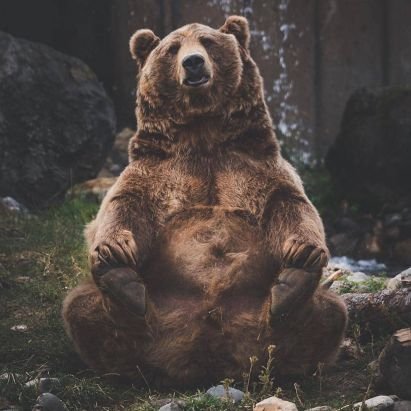 lucabello's profile picture. A (gentle)man, an accent.