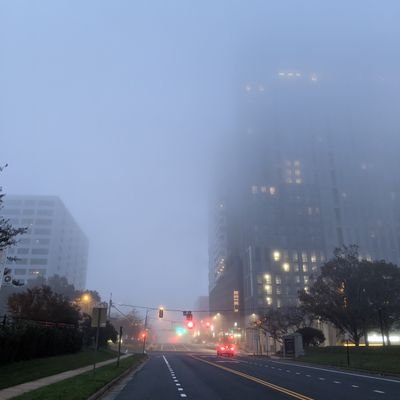 codepanda404's profile picture. Tree Hugger🌴🌳🌲🌱