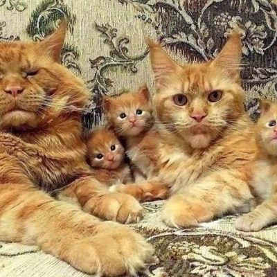 Madoffstash2's profile picture. I'm different